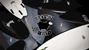 BlackSheep_Collection_300x.gif BlackSheep_Collection_300x.gif